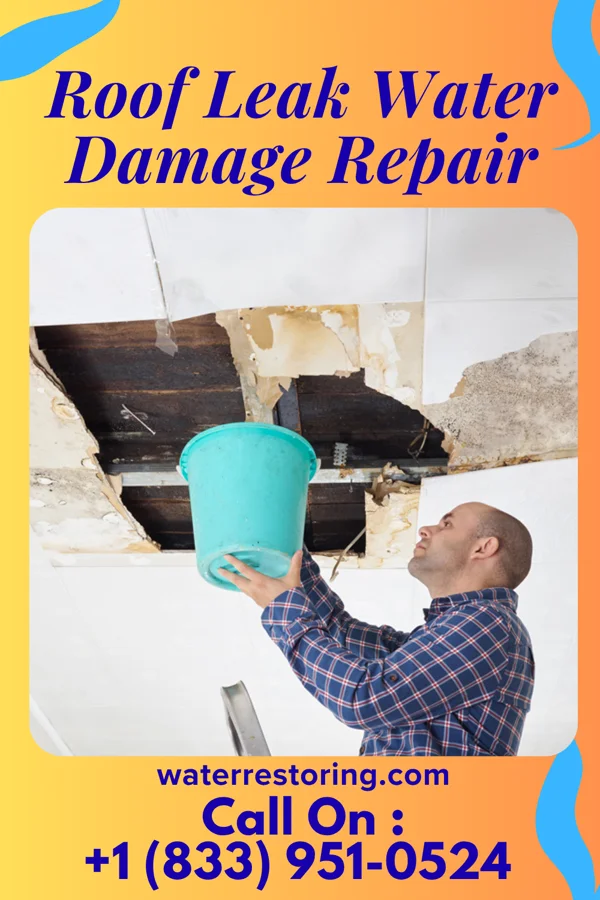 Roof Leak Water Damage Repair in Gulfport, FL