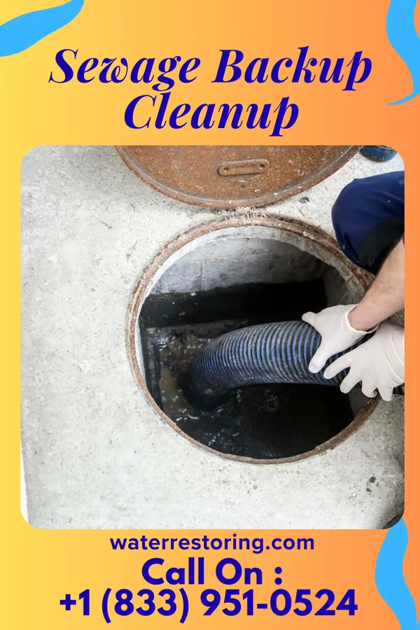 Sewage Backup Cleanup in Gulfport, FL